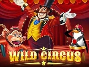 Wild Circus thumbnail